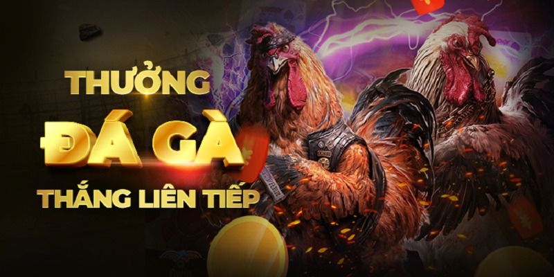 Ưu điểm khi truy cập và sử dụng dịch vụ của nhà cái daga88